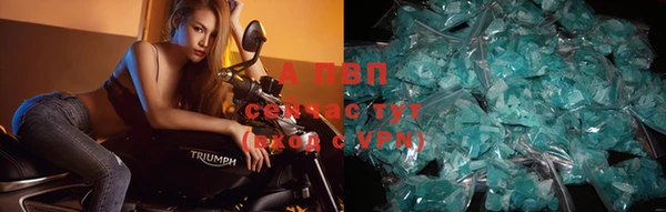 apvp Аркадак