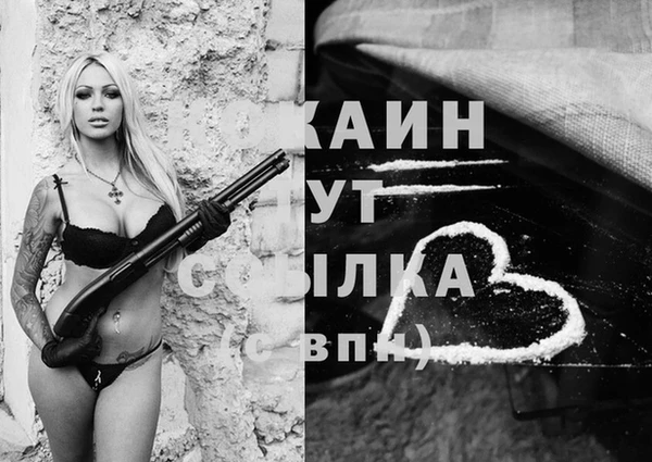 apvp Аркадак