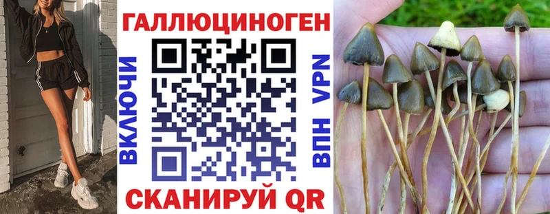 как найти закладки Фролово Галлюциногенные грибы прущие грибы